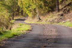 Der-Weg-ist-zumeist-leicht-begehbar