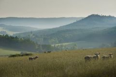 Vielerorts-lassen-sich-Postkartenmotive-finden