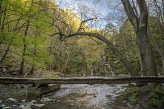 DSC_1801-HDR
