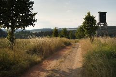Olbramov_cesta_cyklo_posed_alej_2773